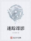 迷踪谍影